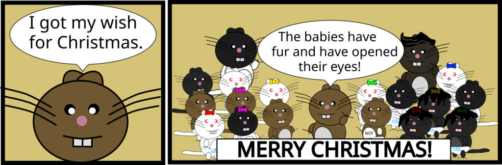 December 25, 2025